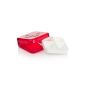 Pillbox with 4 compartments HEALTHY red - small
