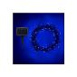 Garland Light Solar with 100 LED Bleues Lights4fun