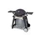 Weber Gas Grill Q 220 Blackline with trolley in 2012 (garden products)
