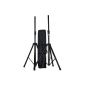 Ibiza SS01B Stand for Speaker Black - 2 Pack (Electronics)