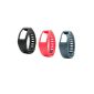 LuxeBell® Replacement Strap Accessory Pack 3 and Metal Clasp For Garmin Vivofit - Small - No Tracker (Miscellaneous)