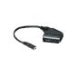 Hama Adapter Scart plug - 3.5 mm stereo stereo coupling (accessory)