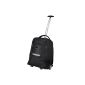 LIGHTPAK Laptop Trolley Backpack Nylon telescopic trolley stowable straps dirt cover for rolls padded laptop compartment (luggage)