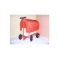 PROFESSIONAL carts CART garden cart - with weather PLANE 150kg New & Sealed (Toys)