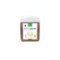 Alvito eco detergent solution with Orange fragrance 2.5L (household goods)