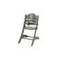 Geuther 2355 SL - high chair Swing, mud (Baby Product)