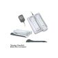 Double induction charger for Wii (Accessory)