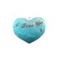 Extasialand Large atmospheric Plush Stuffed Heart with integrated LED lights in changing colors - in soft blue