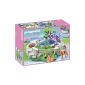 Playmobil - 5475 - figurine - Mare With Crystal Fairy (Toy)