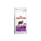 Royal Canin - Royal Canin Sensible 33 Adult Special Needs Capacities: 10 kg (Miscellaneous)