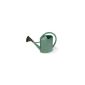 Eda Plastics - Watering Can 11 L with apple