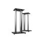 1 pair of speaker stands BS 28Lbc Silver / Black * Long version * integrated glass / aluminum with spikes, 2 columns, cable channel (Electronics)