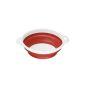 Premier Housewares Zing 0804878 Collapsible Colander with Double Handles TPR / Polypropylene Red / White (Kitchen)
