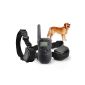 Mondpalast ® 1-100 Dog Training Anti-level anti barking barking shock training collars (Electronics)