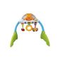 VTECH BABY 80-114004 - Winnie the Pooh 2-in-1 Learning Fun Center (Toy)