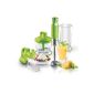 Sencor SHB 4362GR hand blender with stainless steel top (input power 800 W / Constant speed control / Green) (household goods)