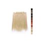 Pretty country - K170 7 piece 50cm Clip-In smooth hairpiece hair extension - BL20 light ash blonde (Personal Care)