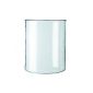 Bodum UK 0.5 Liter / 17 oz 4 Spare Glass Cup without Spout (Kitchen)