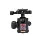 Red Rock Korona Series RR-02 Ball Head incl. Quick-release plate with 8kg load capacity (Electronics)