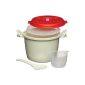 Kitchen Craft microwave rice cooker, 1.5L (household goods)