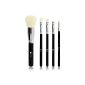 Professional Brush Set, 5 brush with super soft premium synthetic hair for a perfect makeup look (Misc.)