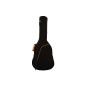 Ashton ARM1200 Series Padded Case for Classical Guitar (Electronics)
