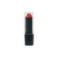 Lipstick Vibrator - black (Personal Care)