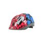 Raleigh Bicycle Helmet Spider Bandit 52-56 cm (Miscellaneous)