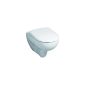 573010000 Keramag toilet seat Renova Nr 1, with lid hinges:. Stainless steel, white (tool)