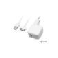 Original Apple Ipad ipad 1 ipad 2 ipad 3 iphone USB Charger Power Supply Charging Cable Power AC Adapter Charger 10W (electronic)