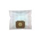 20 non-woven filter bags for vacuum cleaner bag AEG-Electrolux Vampyr CE 4400 E