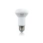 Lighting EVER 3W R39 reflectors LED bulb, DC 25W bulb, Samsung LED, E14, Warm White (Kitchen)