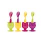 Zak Designs 2017-M830 Set of 8 pièces- 4 Egg and Spoons Eggs Assorted Flora (Kitchen)
