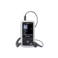 Sony Walkman NWZ S 616 FS Video / MP3 Player 4GB with radio Silver (Electronics)