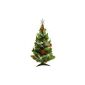 Little Christmas tree, small price