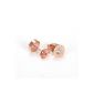 New Fashion Cubic Zirconia 18K Rose Gold Plated Earrings For Women (SCE064STRGM) (Jewelry)