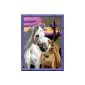 Ravensburger 28242 - Horses in sunset - Paint by numbers, 18 x 24 cm (toys)