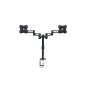 eSmart Germany TV / Monitor Double Arm Desk Mount | 25cm - 64cm (10-25 inches) | VESA 75x75 to 100x100 | Tilt Swivel + + Rotary + + Height adjustable pivot function | Black | mounting holes on TV max.  100mm x 100mm (width x height)