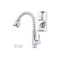 PROFESSIONAL KITCHEN MIXER TAP SHOWER PULL (Miscellaneous)