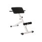 Apparatus drive bench for the extension Hyper backs inclined 45 ° - height adjustable - foldable (Miscellaneous)