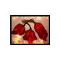 Trinidad Scorpion Butch T 10 seeds (over 1,500,000 Scoville) Sharper than Bhut Jolokia