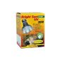 Lucky Reptile BSJ-35 Bright Sun UV Jungle, 35 W, metal halide lamp for E27 sockets with UVA and UVB radiation (Misc.)