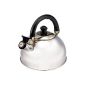 Kaiserhoff 2 liter stainless steel whistling kettle - INDUCTION - whistling kettle - kettle - kettle - kettle (household goods)