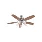 Ceiling Fan 5-flame Jerry (household goods)