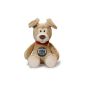 NICI 34807 - Golden Retriever Dog 40 cm Schlenker with alarm clock function (toys)