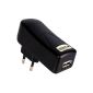 Artwizz PowerPlug USB charger for iPod, iPhone and MP3 players black (Accessories)