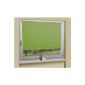Blackout blind Klemmfix Seitenzugrollo clamping blind without drilling, 100x175, apple green, 62000