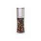 Peppermill salt mill spice mill dry with ceramic grinder in gift packaging - 150ml - Height 16cm - stainless steel (houseware)
