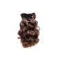 Corrugated PRETTY SHOP & 60cm 120g 7-piece SET Clip In Extensions Hair Extension (brown mix (# 4T30)) (Health and Beauty)