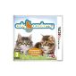 Cats Academy 2 (Video Game)
